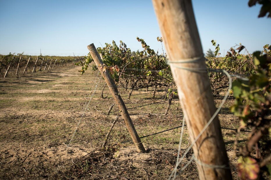 Quinta da Lagoalva de Cima