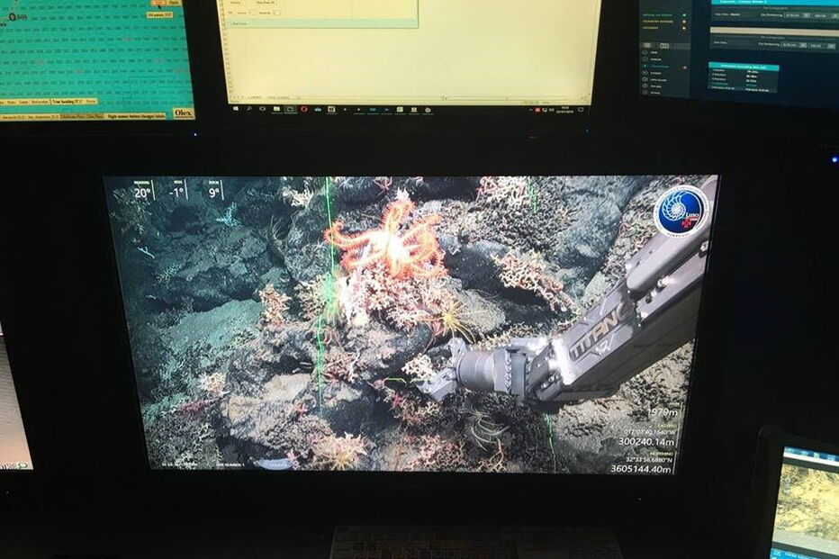 Observatório Oceânico Da Madeira