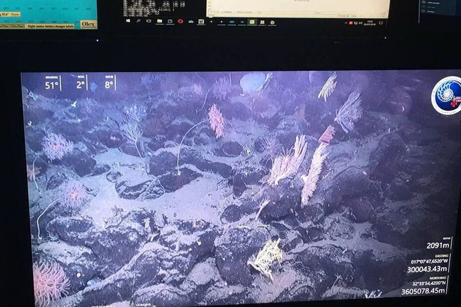 Observatório Oceânico Da Madeira