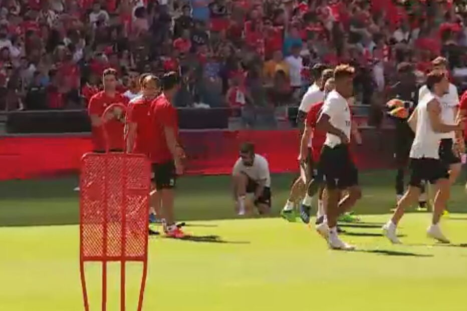 Adeptos eufóricos no treino aberto do Benfica na Luz