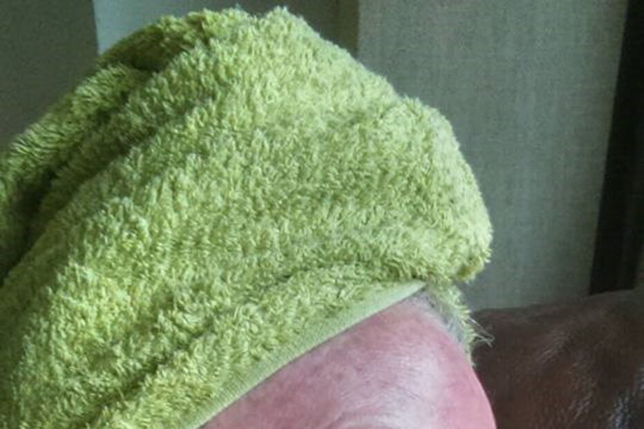 Mag's Murphys Journey