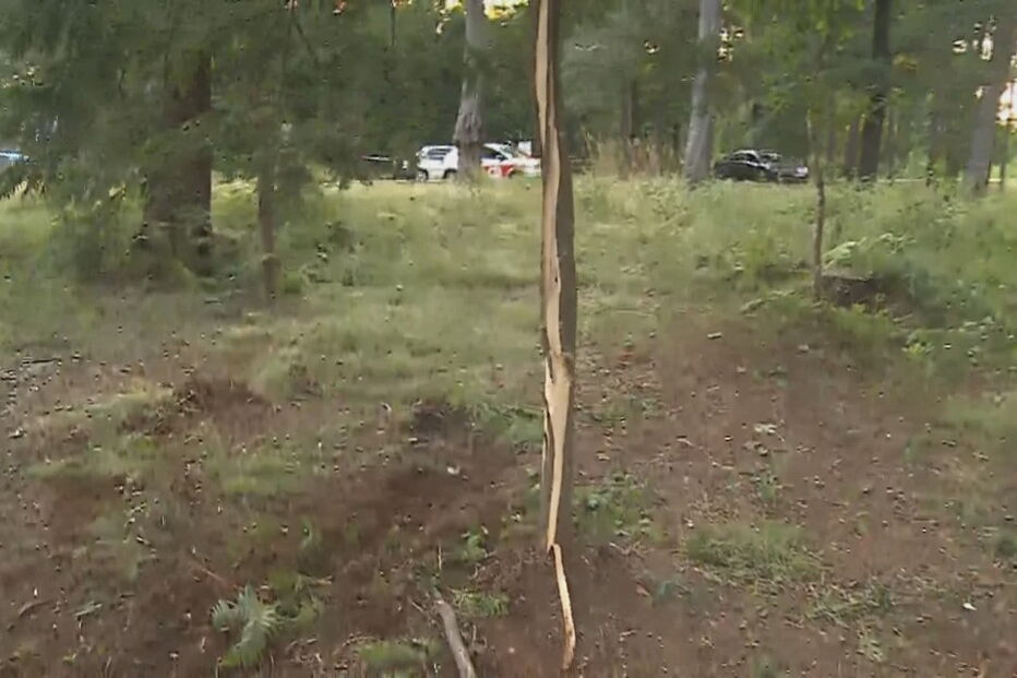 Piloto atropela mortalmente espectador no Rali de Viana