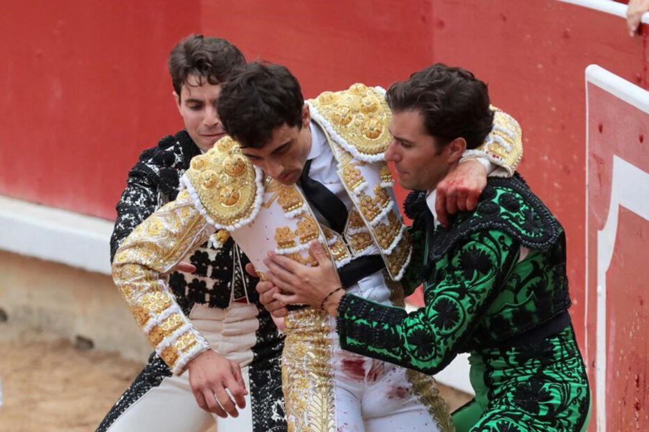 2018-07-08_10_05_06 M2-16464024.JPG