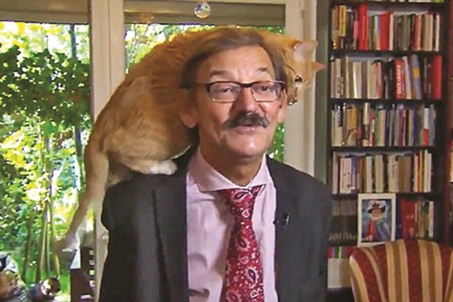 Gato rouba protagonismo de dono em direto na televisão