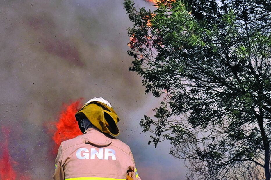 Novas fardas vão proteger os militares do fogo