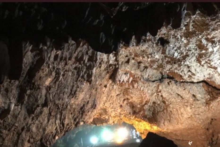 2018-07-10_09_35_41 musk2.jpg