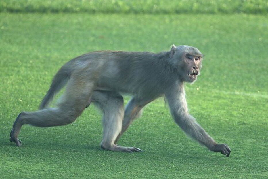 2018-07-11_12_12_31 928984598-594x594.jpg