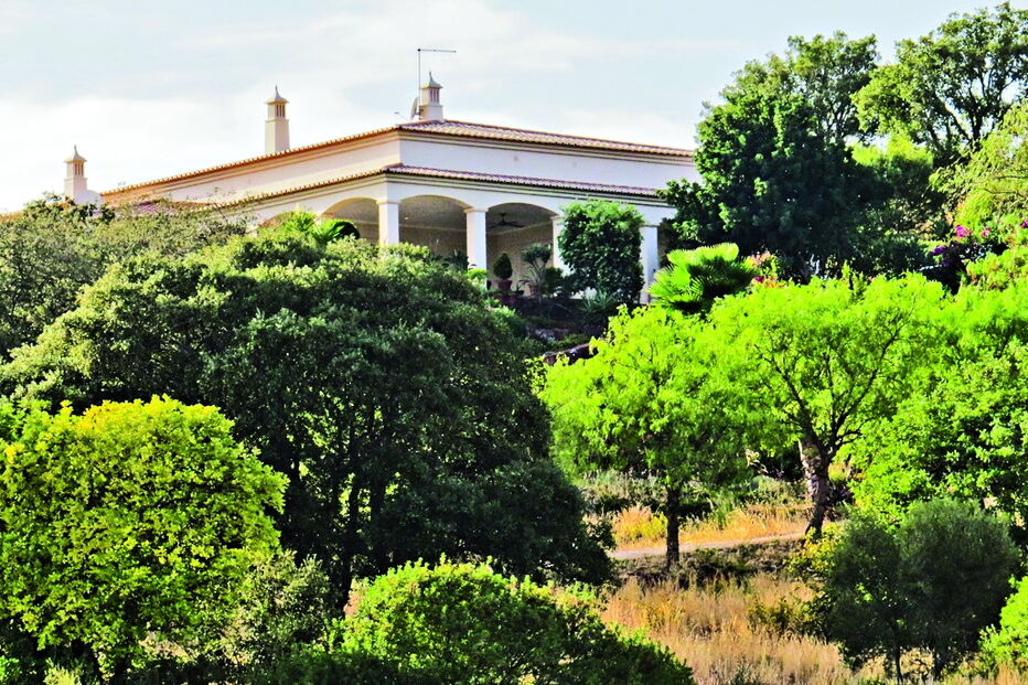 Em outubro do ano passado, dupla invadiu uma moradia de um casal holandês em Vidigal, na Mexilhoeira Grande 