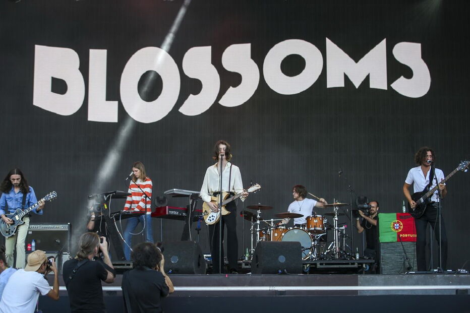 2018-07-14_02_08_57 blossoms.jpg