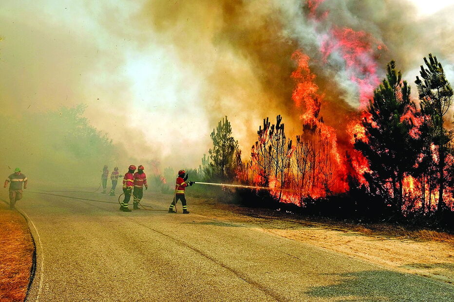 Ataque inicial forte e bom tempo têm ajudado no combate às chamas      