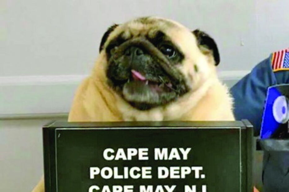 Polícia publica foto de ‘fugitivo’ na Internet