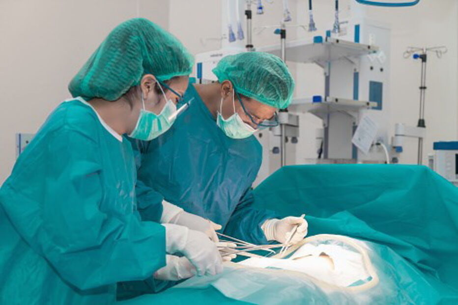 Transplante de órgãos