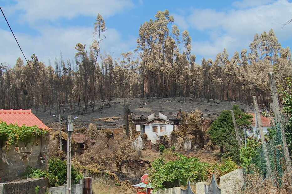 justiça, dinheiro, incêndios, Pedrógão Grande
