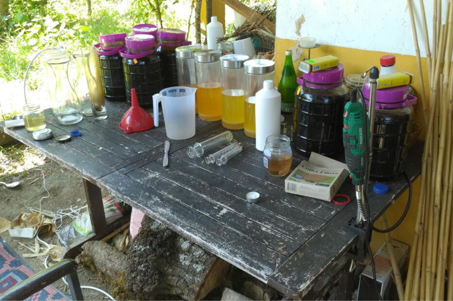 PS desmantela na Lousã laboratório que fabricava droga ayahuasca