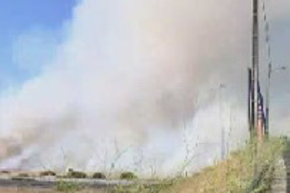 Incêndio junto a A12 na zona de Palmela