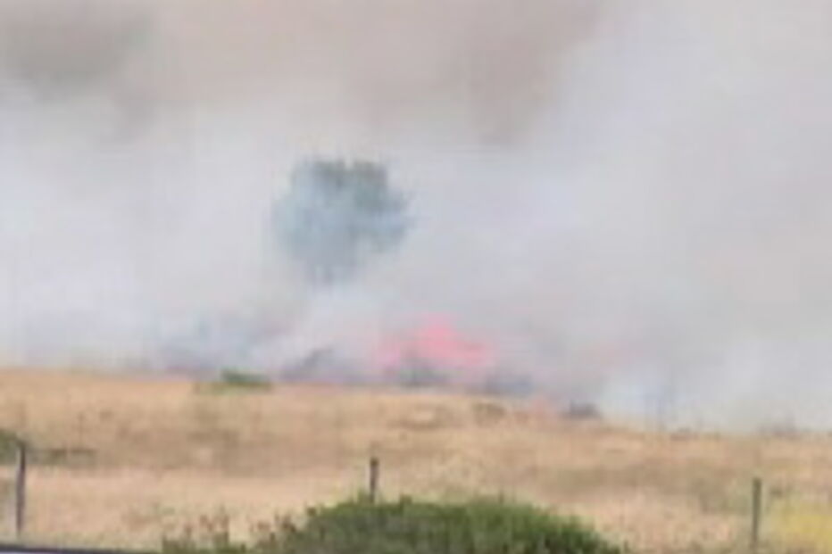 Incêndio junto a A12 na zona de Palmela