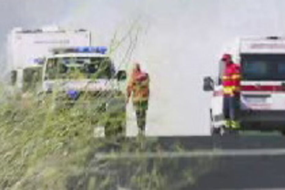 Incêndio junto a A12 na zona de Palmela