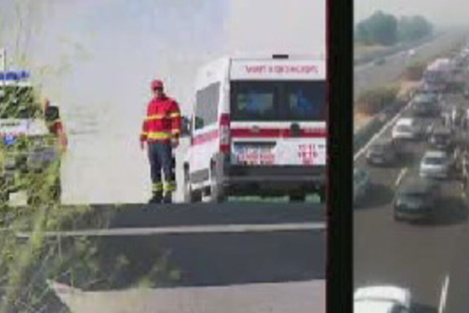 Incêndio junto a A12 na zona de Palmela