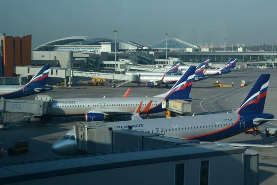 Incidente com cão aconteceu durante voo doméstico na Rússia