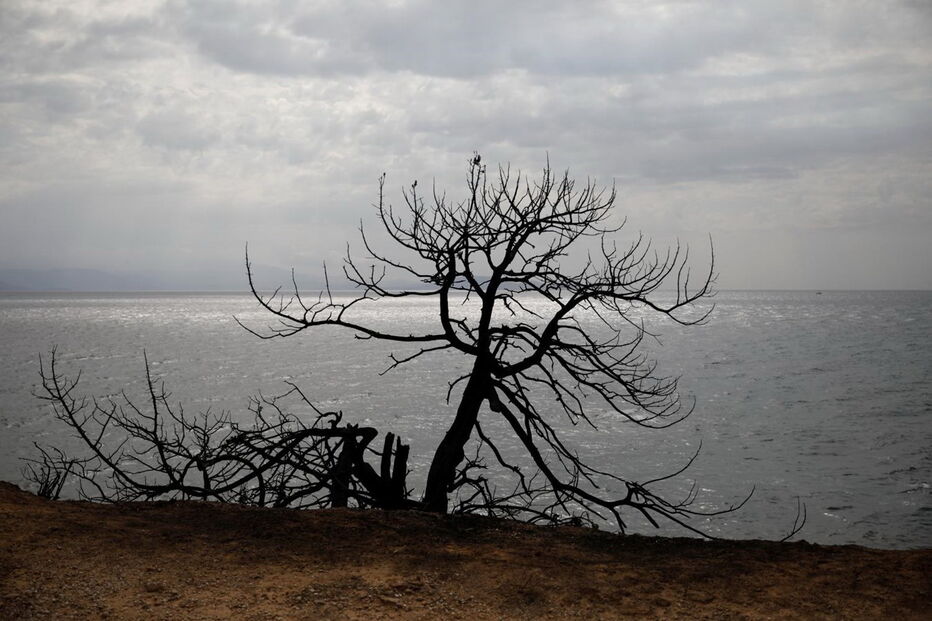 Região turística de Mati desaparece dizimada pelas chamas