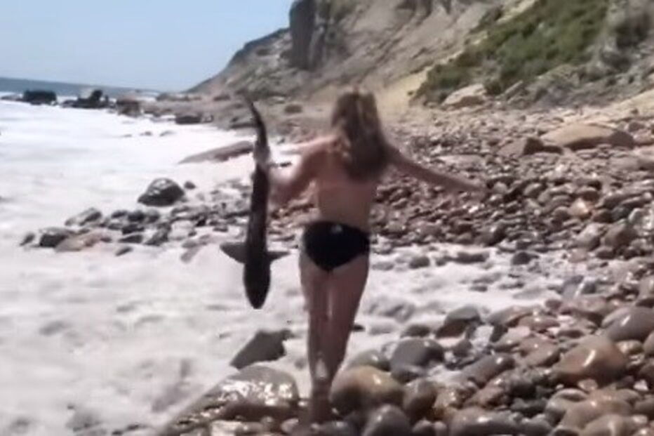 2018-07-24_16_05_24 tubarao.jpg