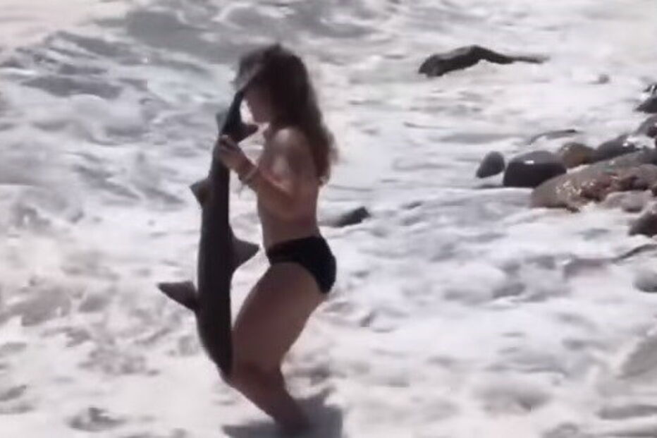 2018-07-24_16_05_25 tubarao2.jpg