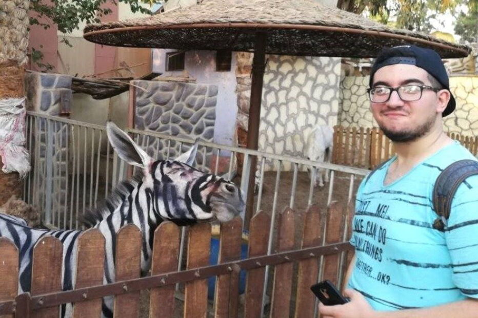 Zoo nega pintura em burro para se parecer com uma zebra