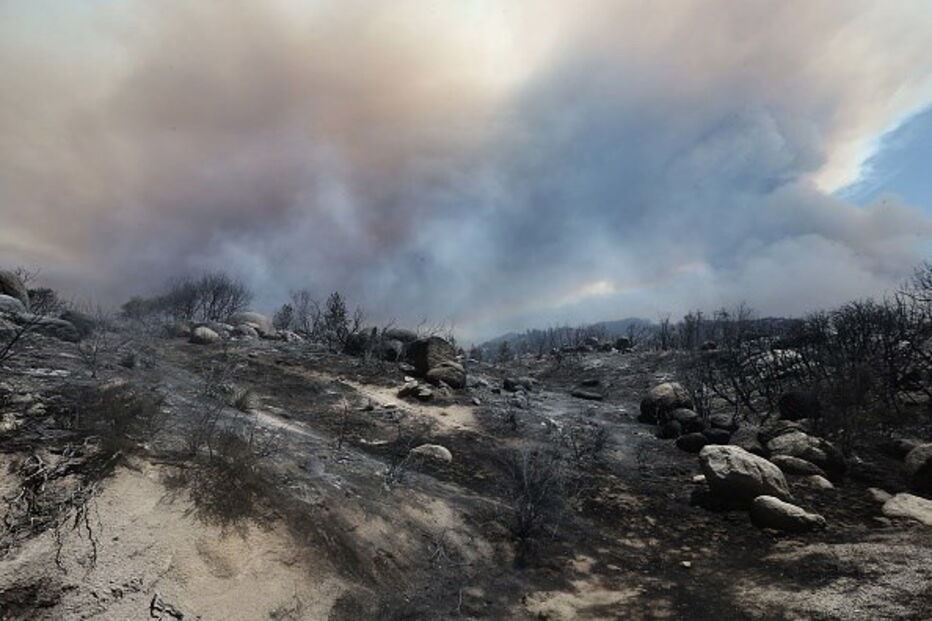 Chamas no norte da Califórnia destroem 15 habitações 