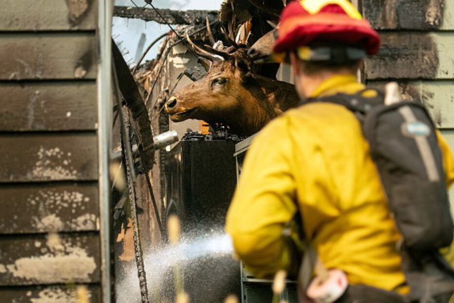 Incêndios Califórnia