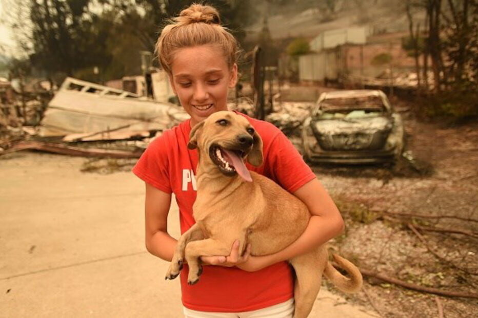 Incêndios Califórnia