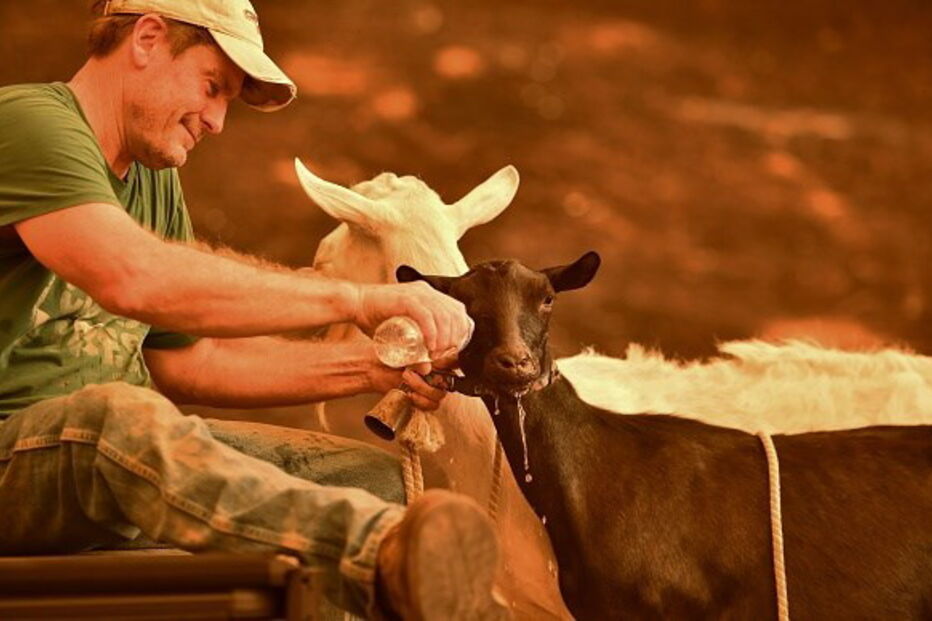 Incêndios Califórnia