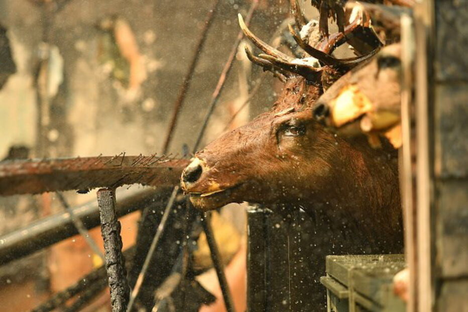 Incêndios Califórnia