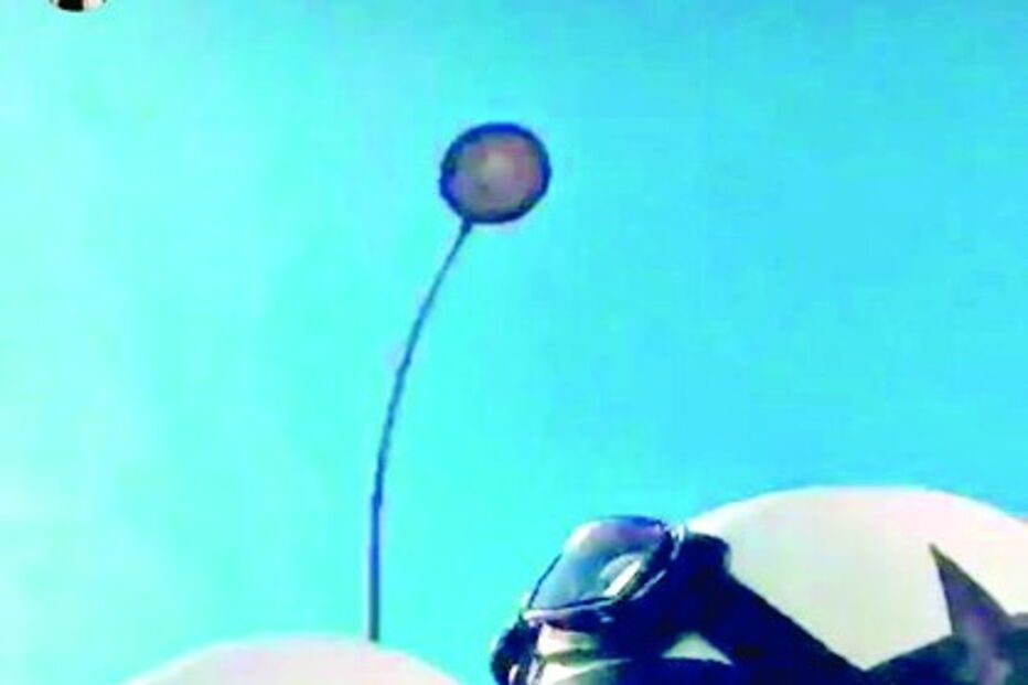 Kelly Bailey e Lourenço Ortigão