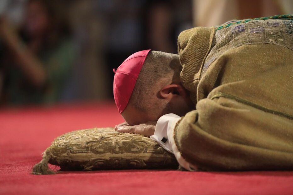 D. Tolentino Mendonça