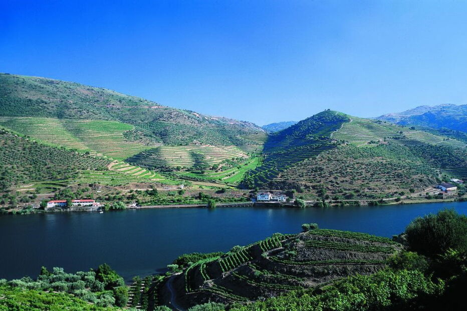 Vista das vinhas do Douro, com o rio em fundo
