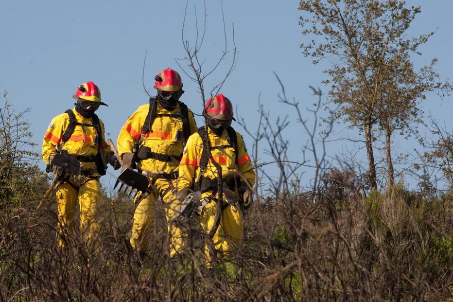 Força Especial de Bombeiros 
