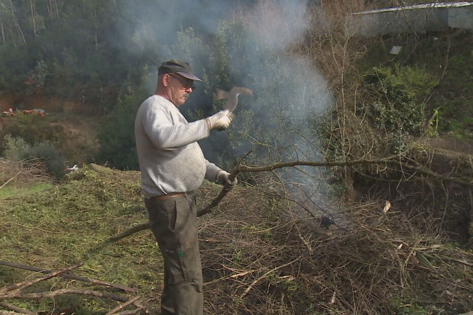 limpeza de terrenos, multas, GNR