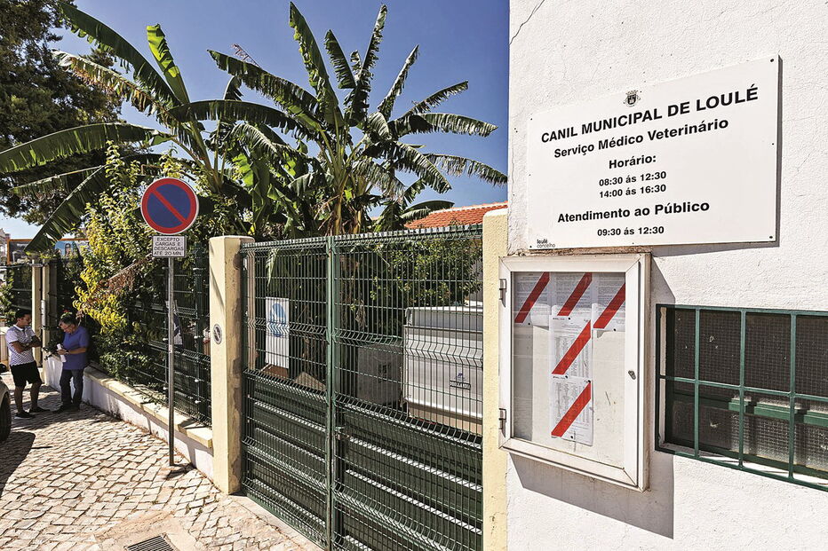 Canil municipal de Loulé