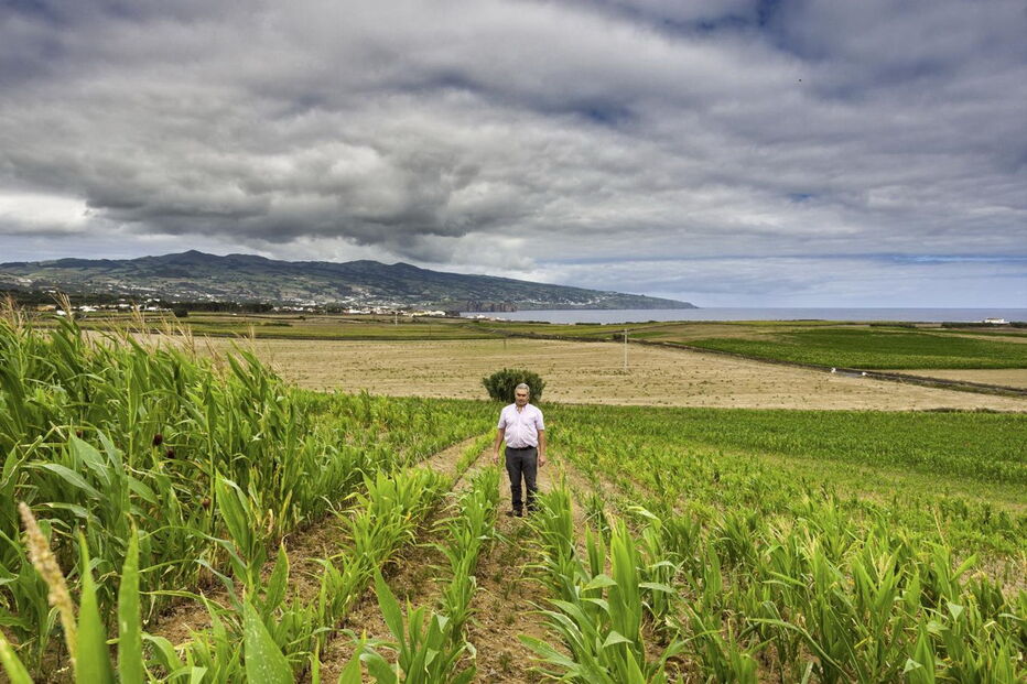 Seca na ilha de São Miguel leva agricultores a ponderar redução de explorações