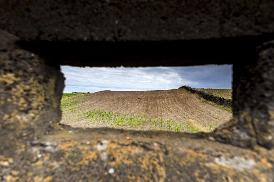 Seca na ilha de São Miguel leva agricultores a ponderar redução de explorações