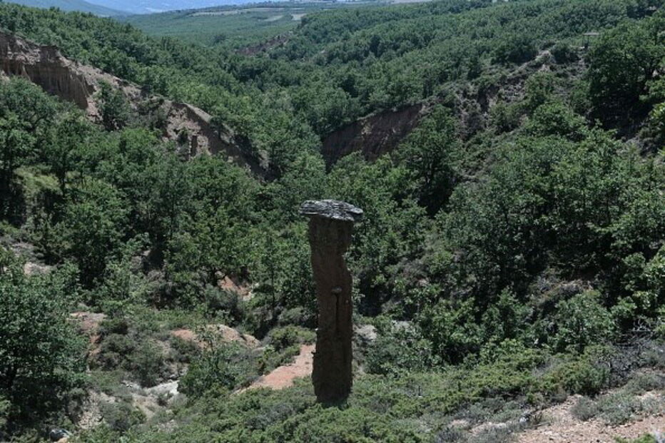 Humanidade vai viver da natureza a crédito a partir de quarta-feira