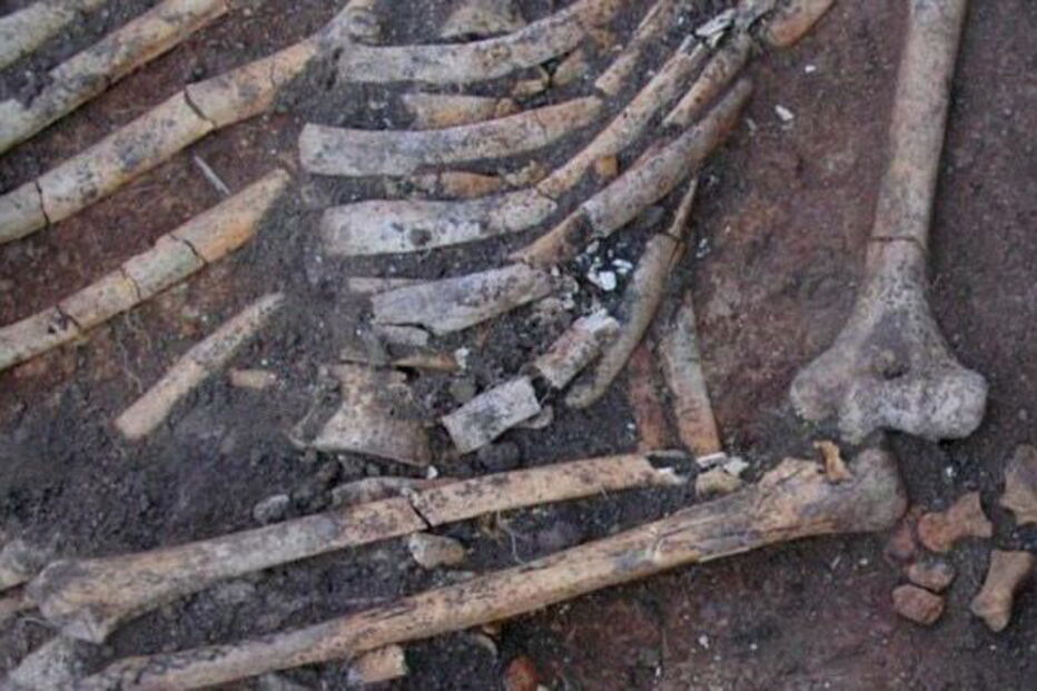 Ossadas foram encontradas nas margens do rio Dniestre, na Ucrânia