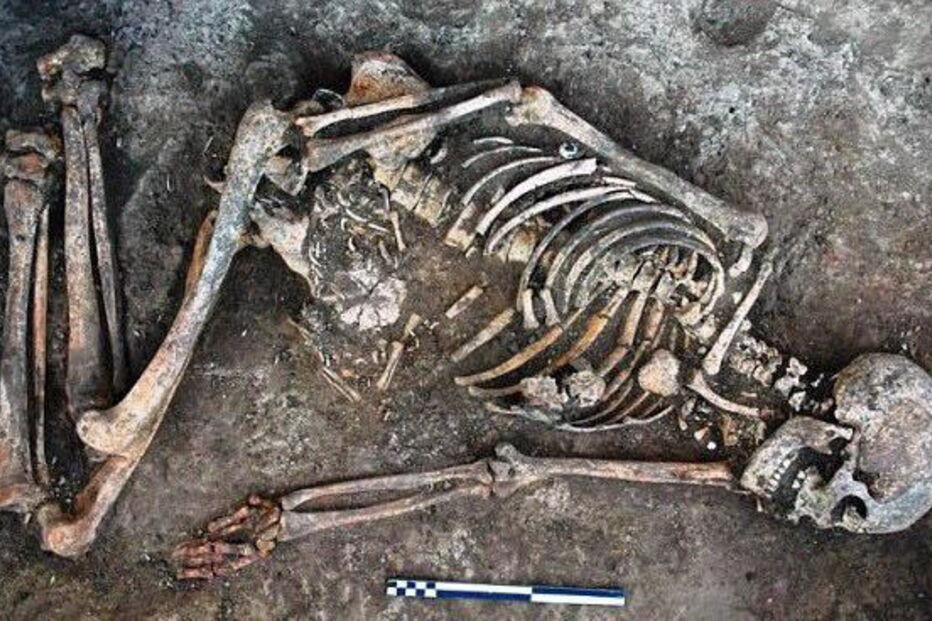 Ossadas foram encontradas nas margens do rio Dniestre, na Ucrânia