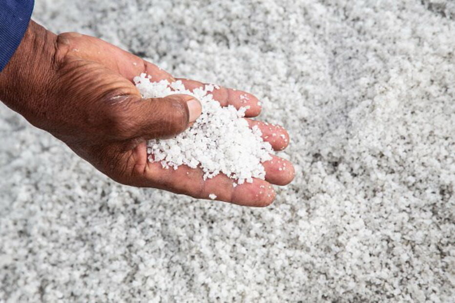 Níveis de sal e açúcar em alimentos processados continuam acima das metas estabelecidas