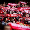 Tribunal Arbitral do Desporto aceita providência do Benfica contra interdição da Luz
