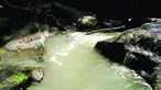 Detetadas seis descargas poluentes para troço do rio Vizela em Guimarães