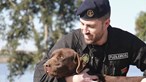 Cães da Marinha em 107 ações este ano