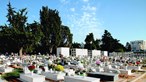 Plano contempla novo cemitério fora de Portimão