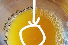 Sumo de laranja com larvas na Padaria Portuguesa