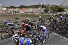 Riccardo Stacchiotti